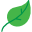 Végatarien